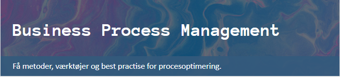 Business Process Management 