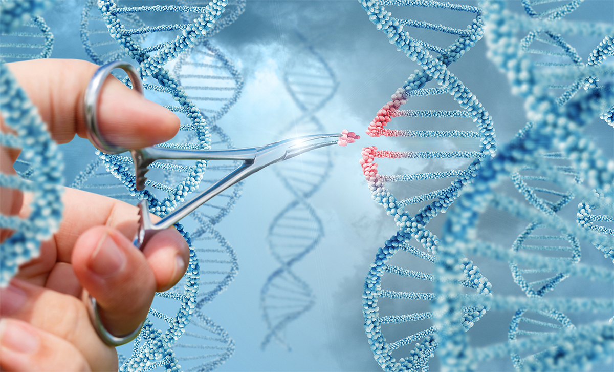 Tre centrale pointer om digital innovation i sundhedssektoren