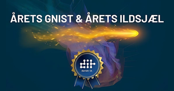 Dansk IT kårer Årets gnist og Årets ildsjæl blandt medlemmerne