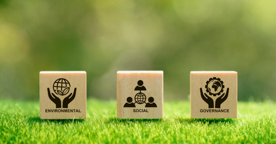 Bæredygtighed i it: Vejledning og inspiration til ESG og CSRD