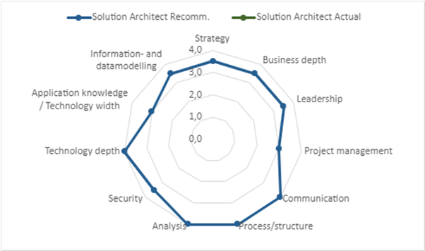 Competence Profile Solution Architect